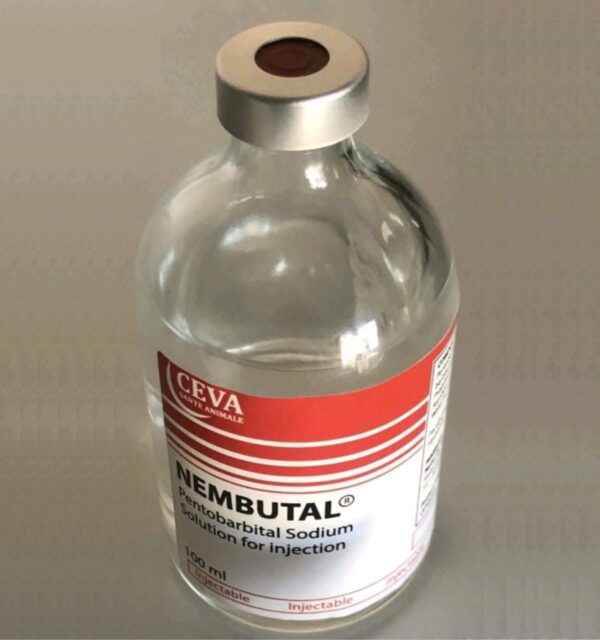 A clear glass vial of Nembutal 100mg-Pentobarbital Sodium liquid solution marked "50 mg/mL," placed on a sterile surface.