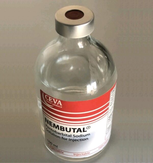 A clear glass vial of Nembutal (pentobarbital sodium) liquid solution marked "50 mg/mL," placed on a sterile surface.