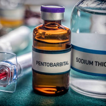 A sealed glass vial labeled "Nembutal – Pentobarbital Sodium Injection, 50 mg/mL," placed on a sterile clinical tray beside a syringe.
